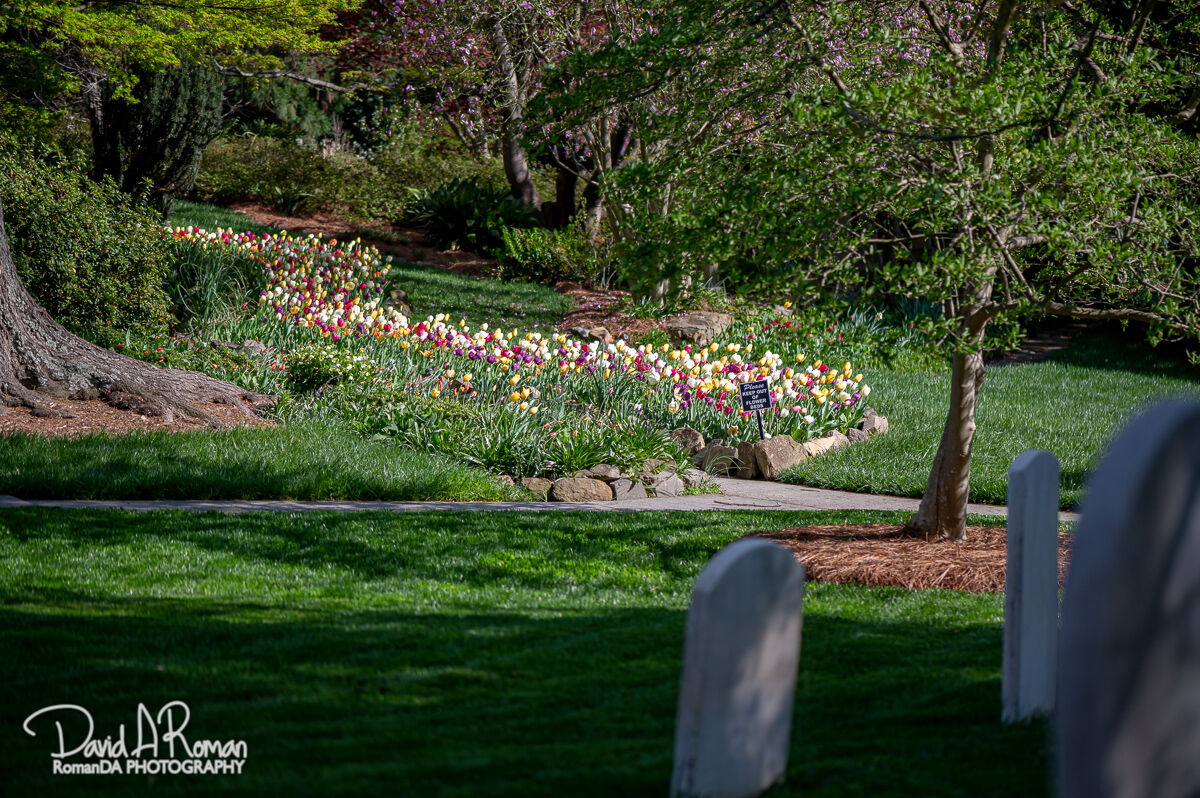 Memorial Gardens 2021